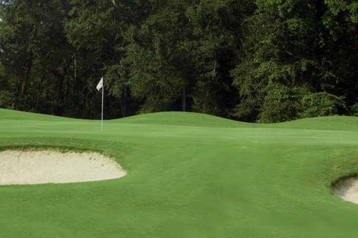golf course green with flag and bunker